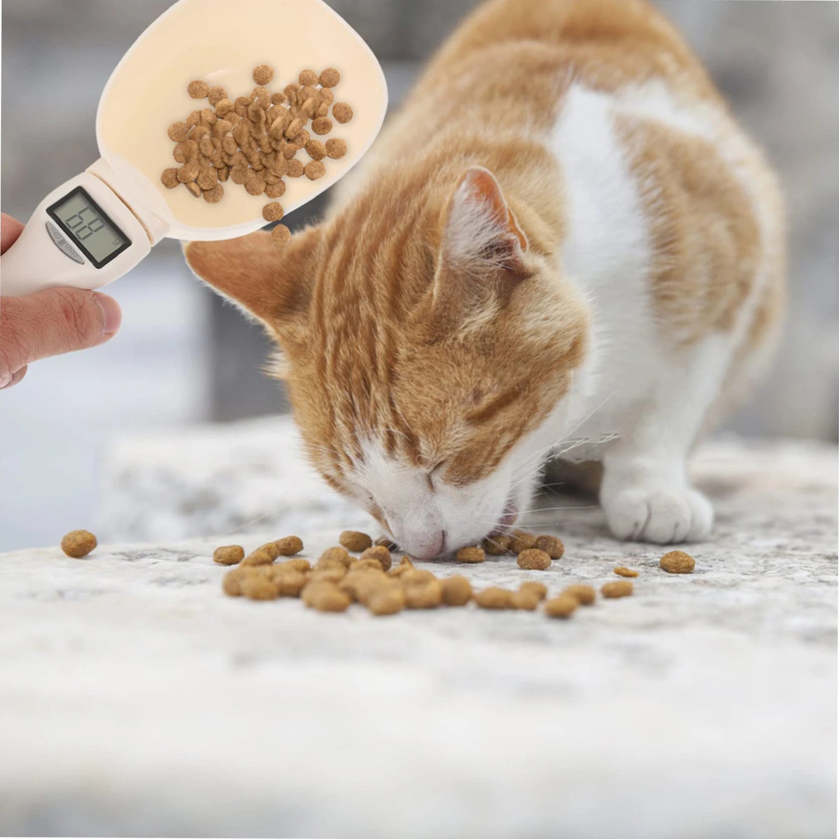 Digital Pet Food Spoon