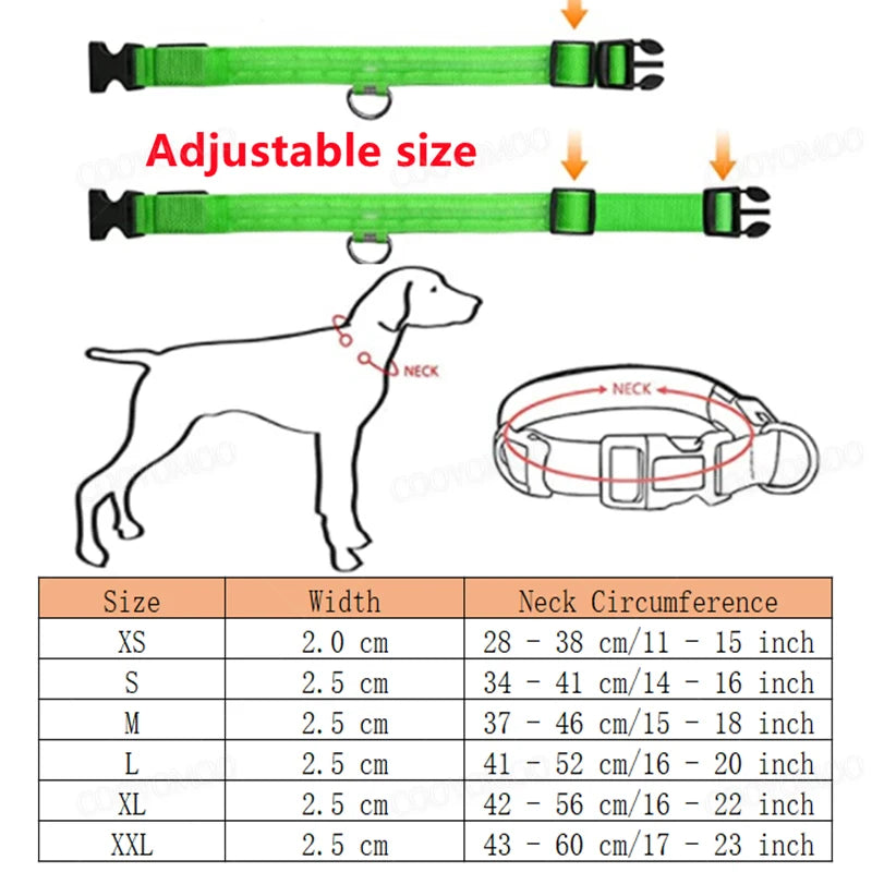 LED Safety Collar