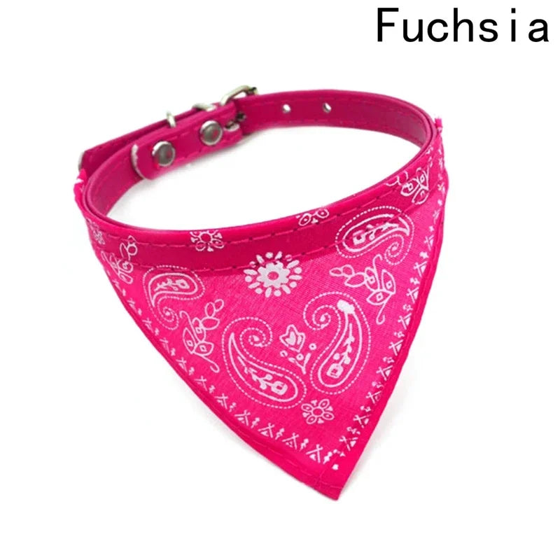 Fashion Collar