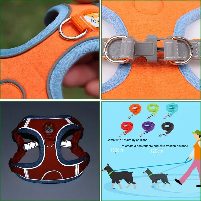 No-Pull Dog Harness & Leash