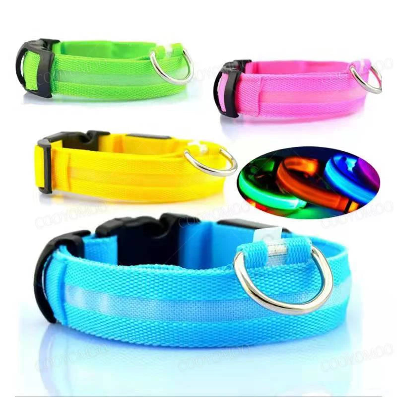 LED Safety Collar