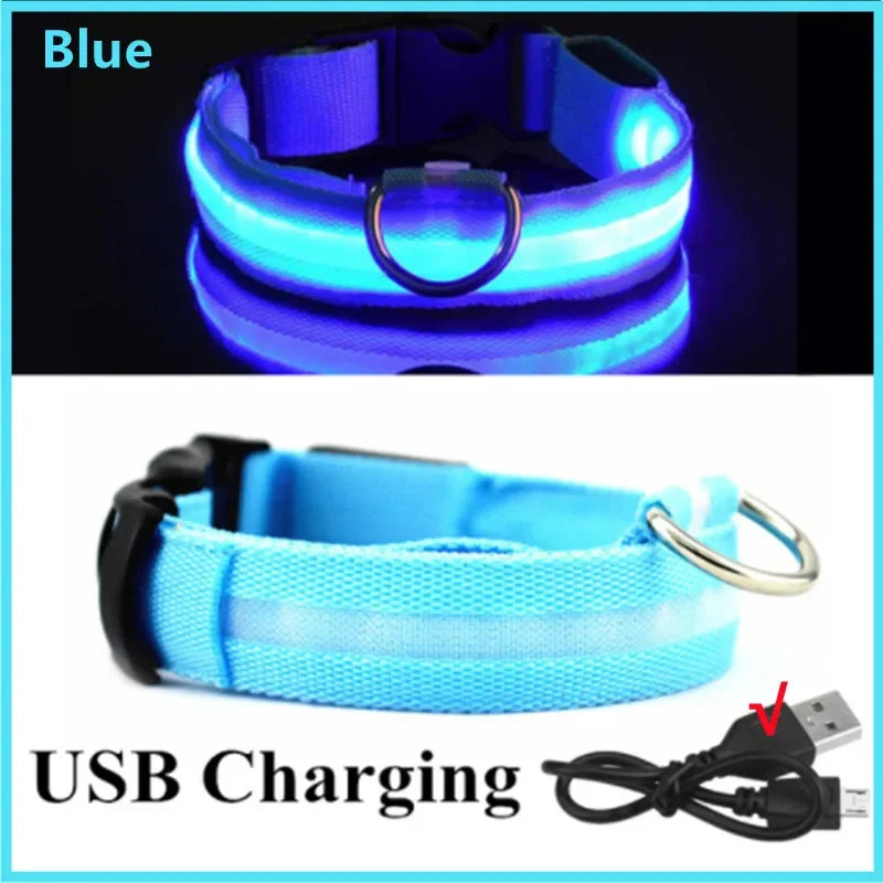 LED Safety Collar