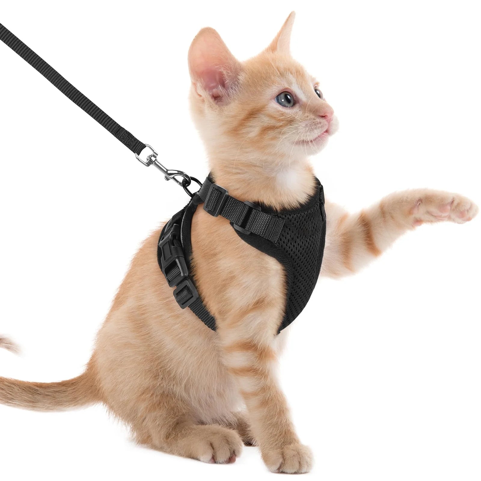 Mesh Cat Harness & Leash