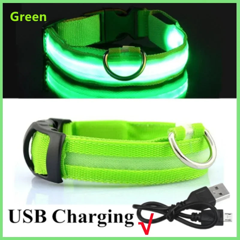 LED Safety Collar