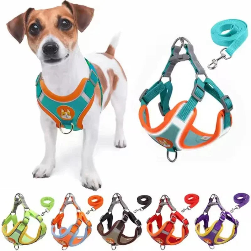 No-Pull Dog Harness & Leash
