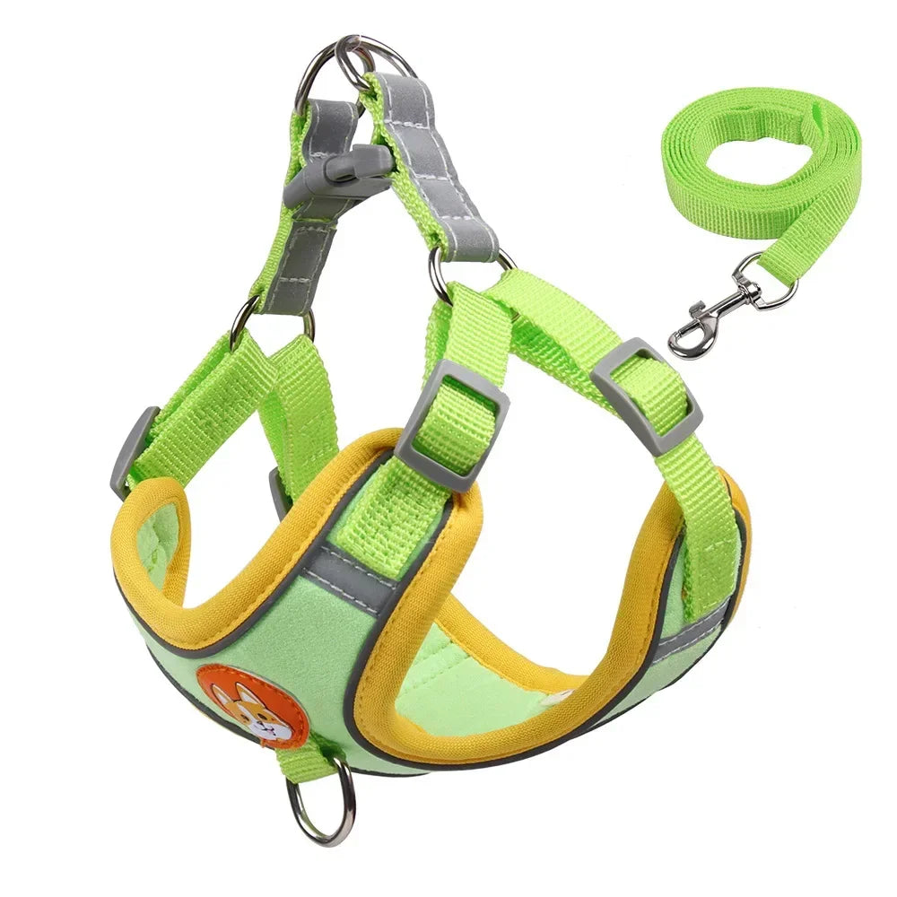 No-Pull Dog Harness & Leash