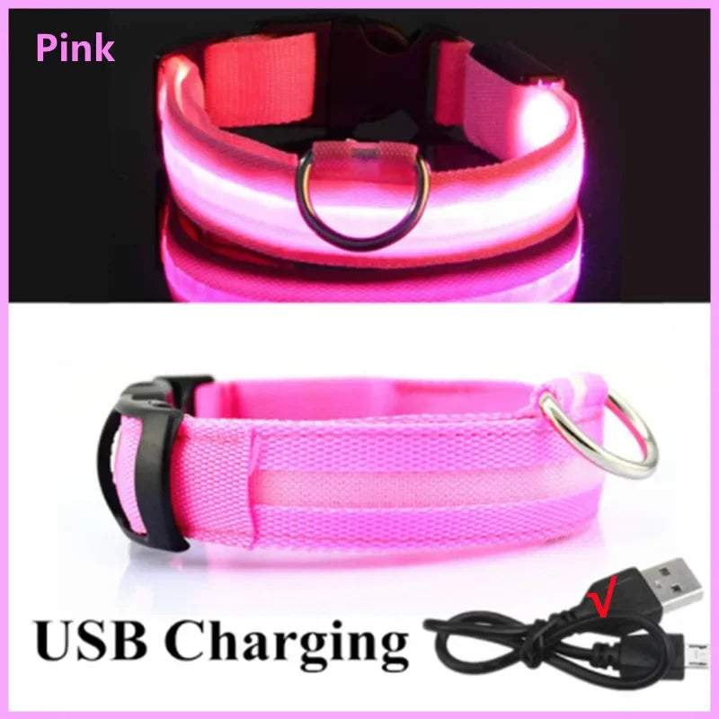 LED Safety Collar