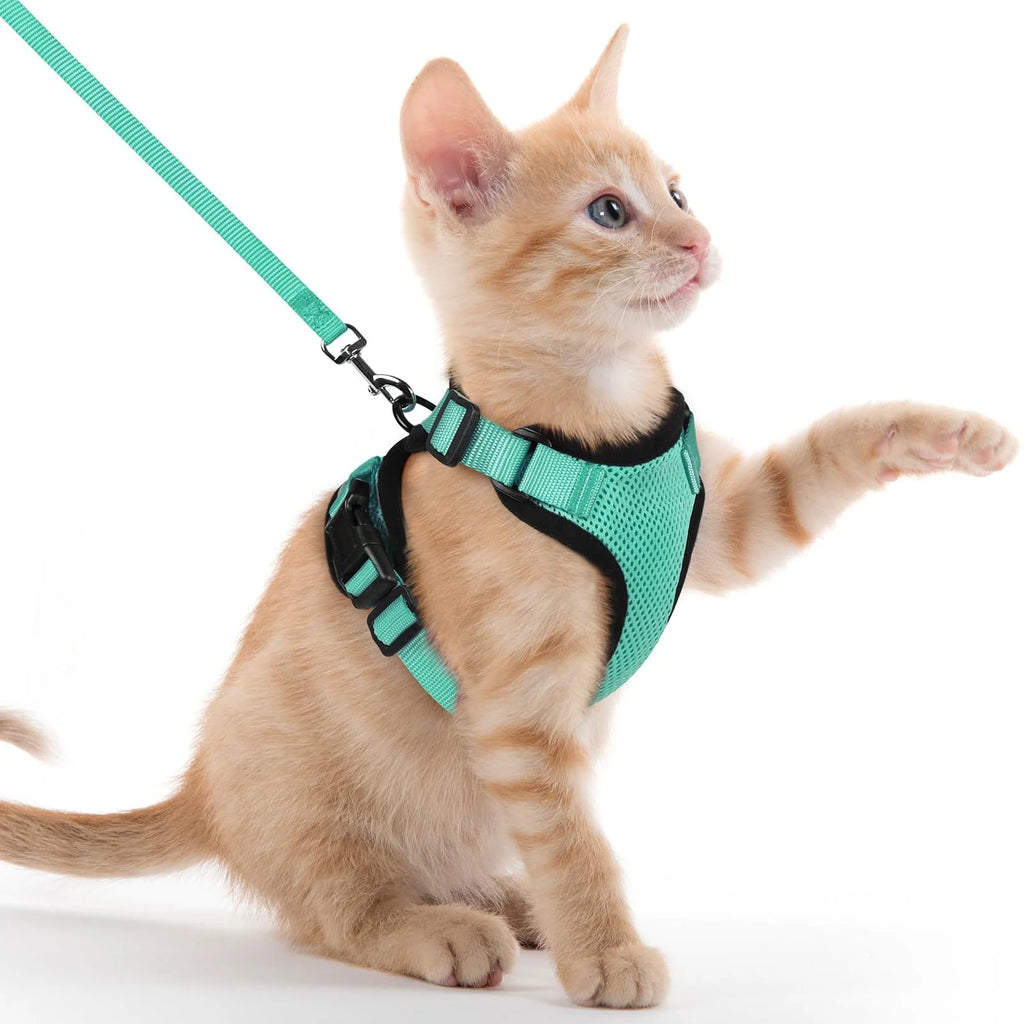 Mesh Cat Harness & Leash