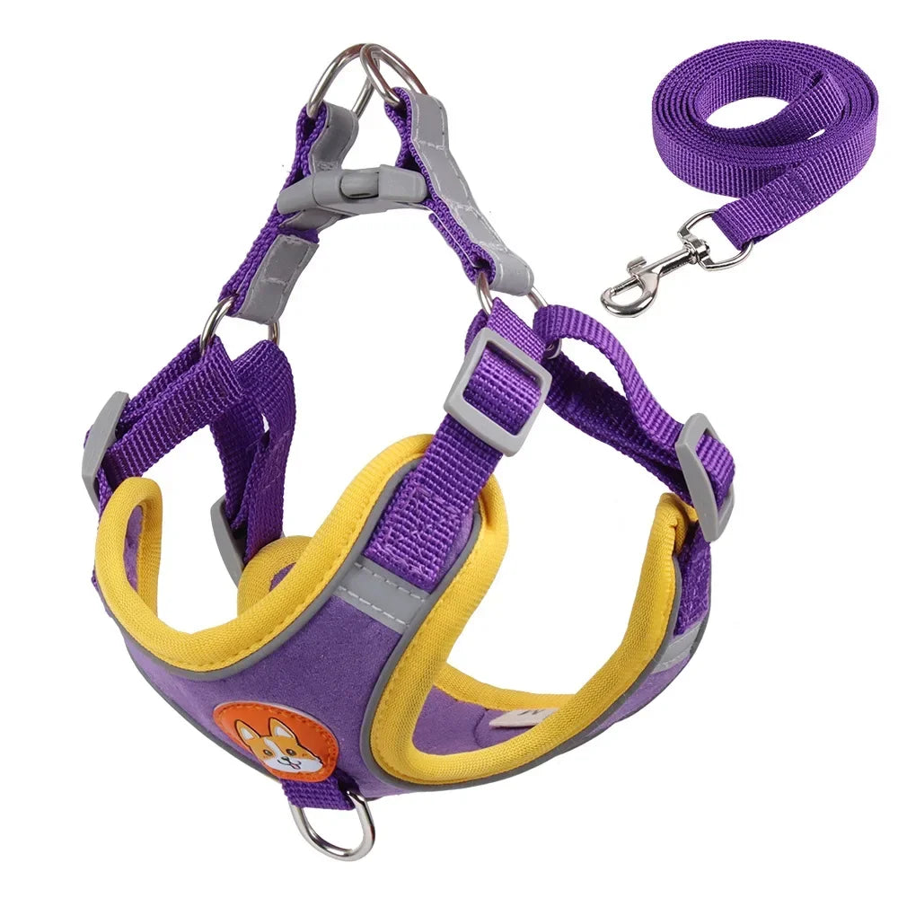 No-Pull Dog Harness & Leash