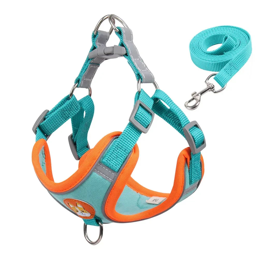 No-Pull Dog Harness & Leash