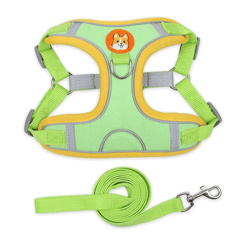 No-Pull Dog Harness & Leash