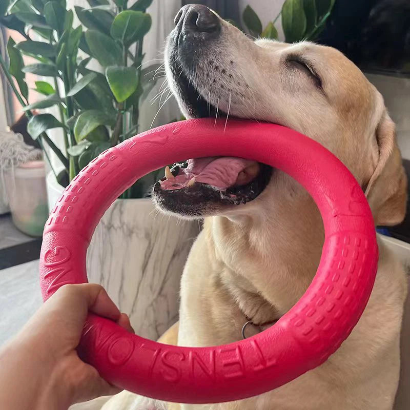 Durable Fetch Toy