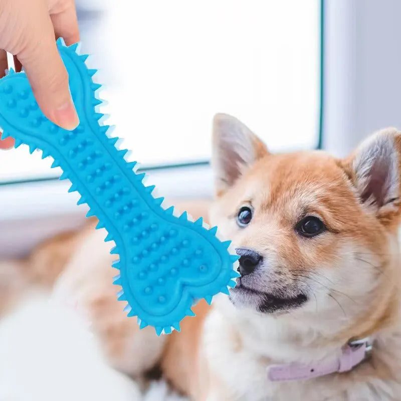 Dental Bone Toy