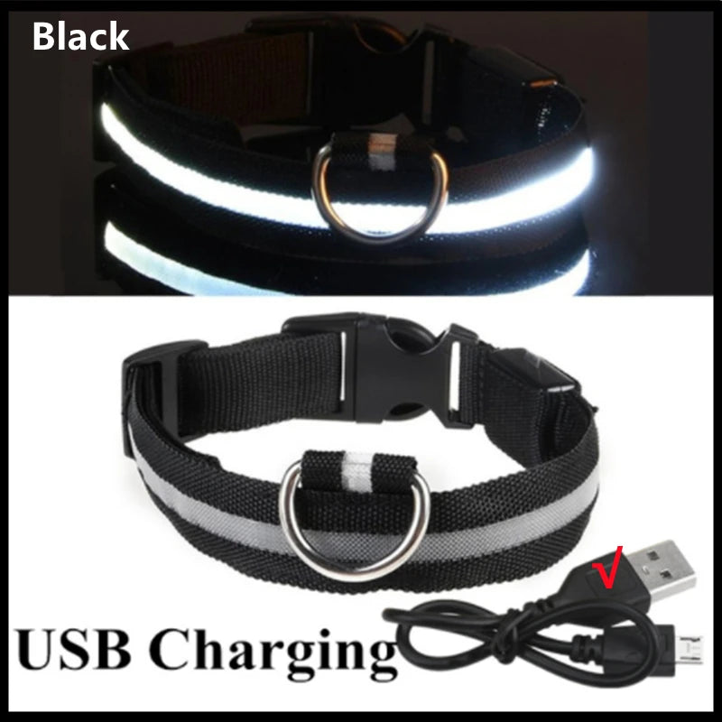 LED Safety Collar