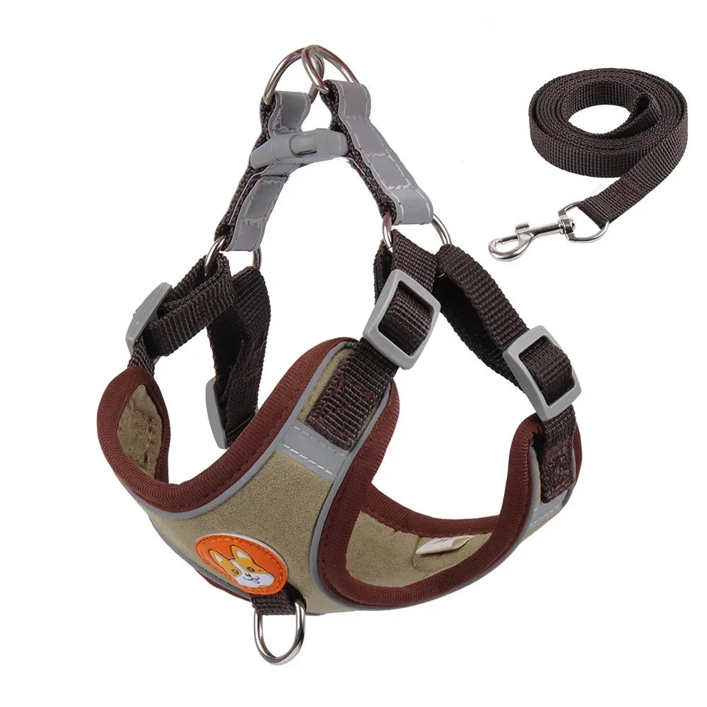 No-Pull Dog Harness & Leash