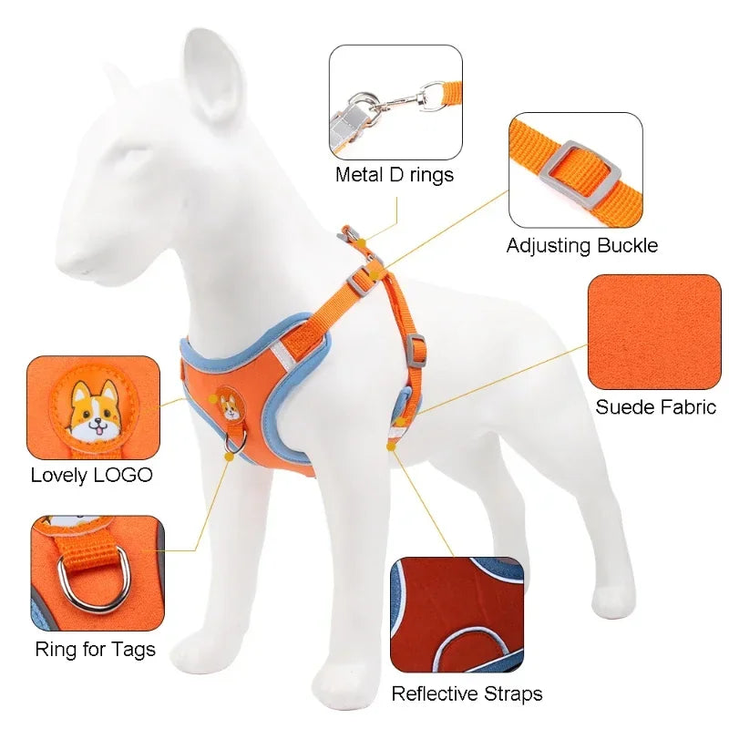 No-Pull Dog Harness & Leash