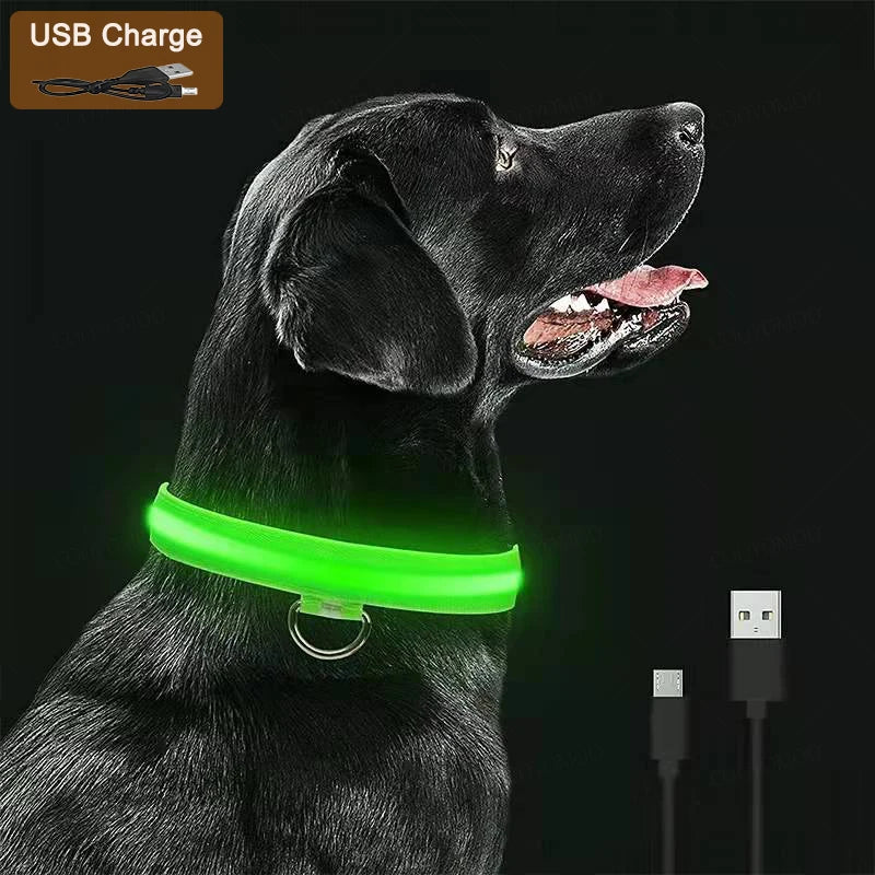 LED Safety Collar